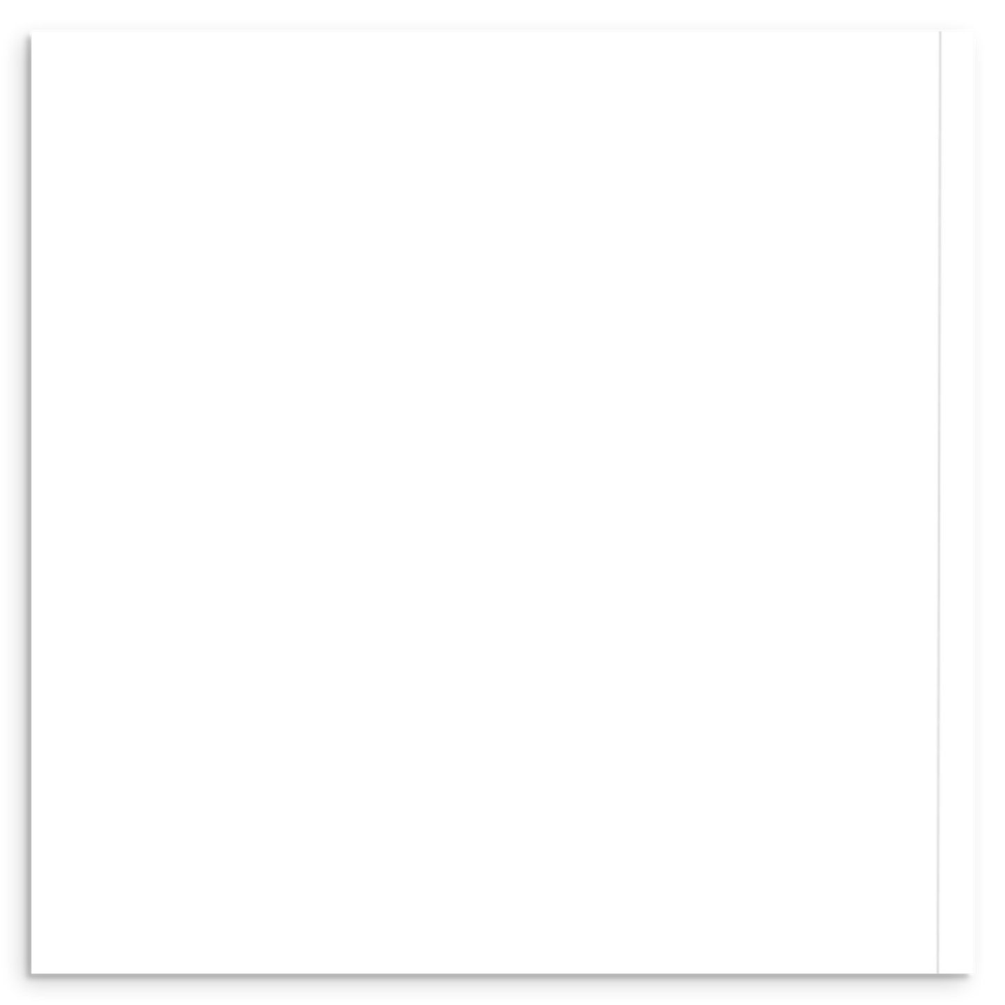 White square with a thin black border